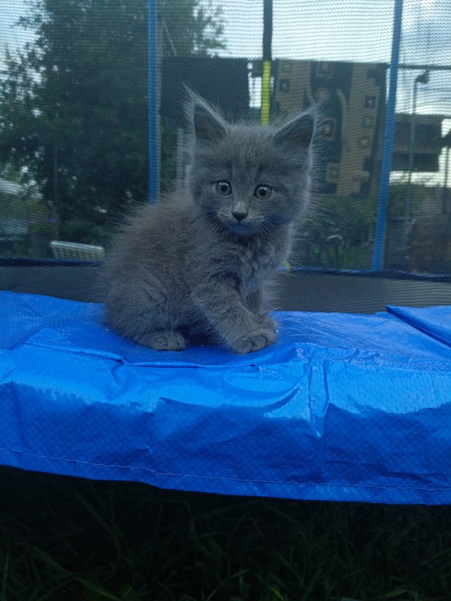 Ищем добрые руки для малышки?
Подкинули девочку. Оче?...