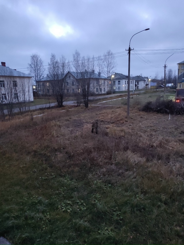 Вот сегодня между домом Новолесная дом 2 и клубом убрал...