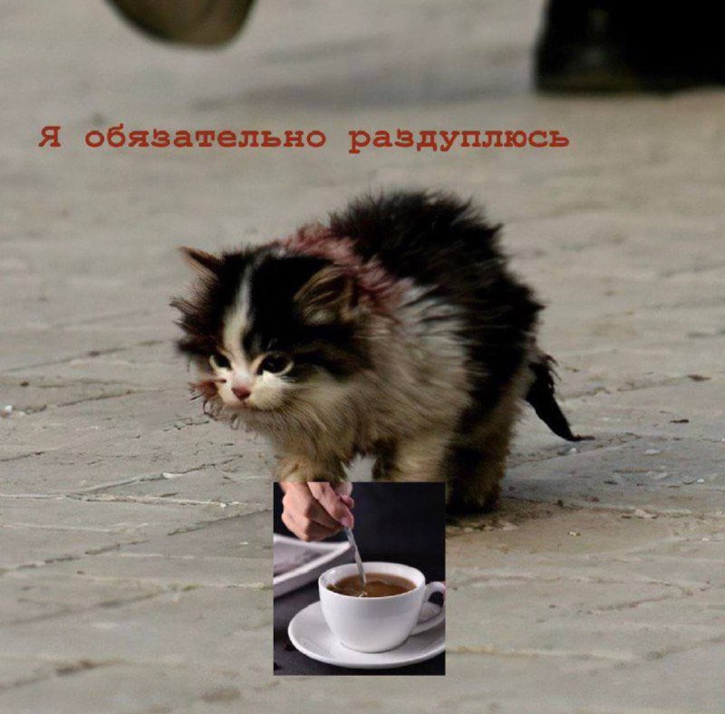 Утренняя подборочка