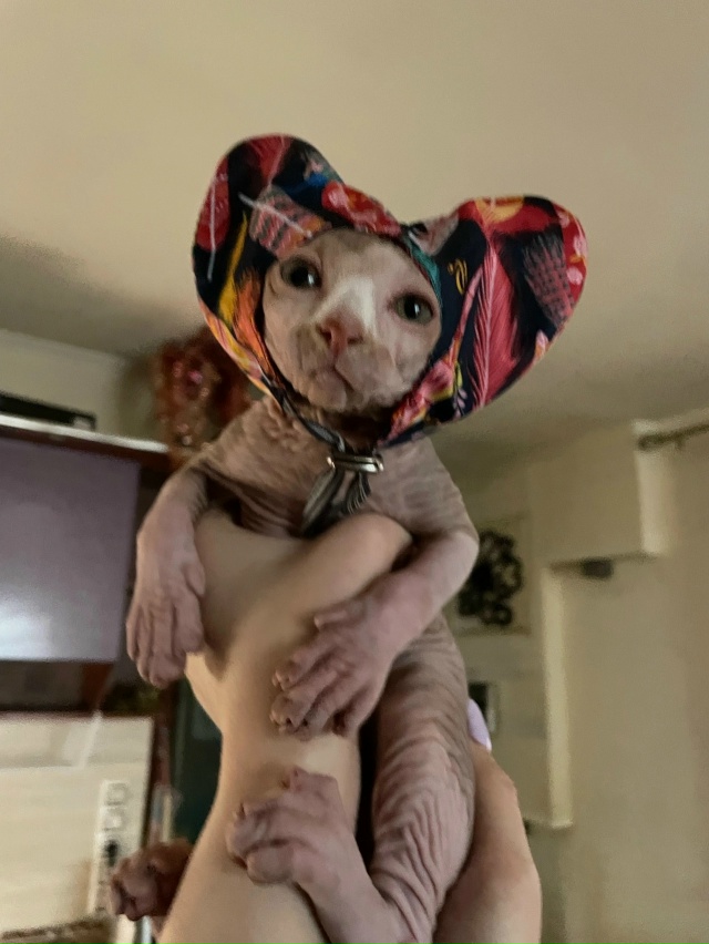 Самый всратый Лютик 🤨