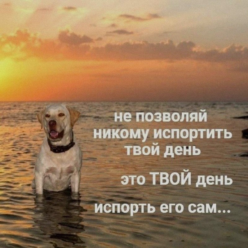 Ночная подборочка
Спать, режим