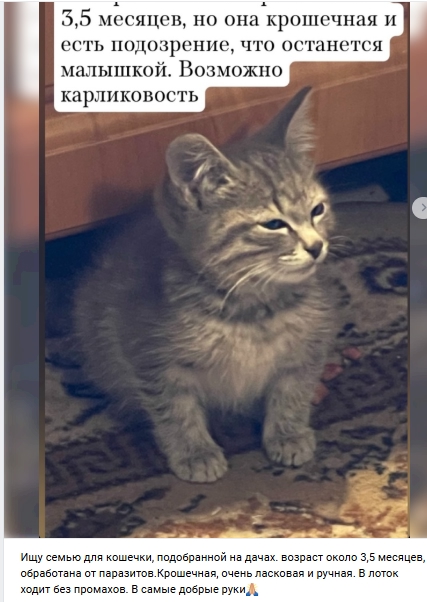 Пост добра. Распространите, пожалуйста.