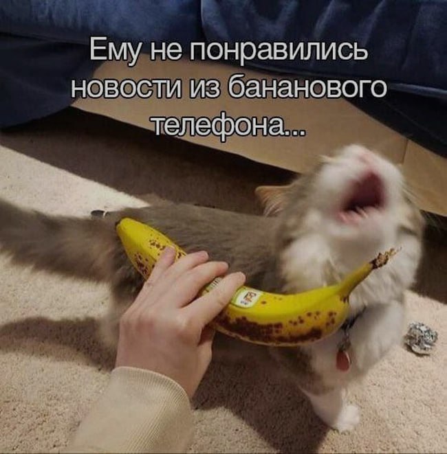 Ночная подборочка
Спать, режим