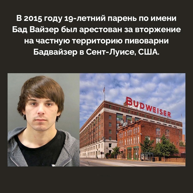 Подборка фактов.