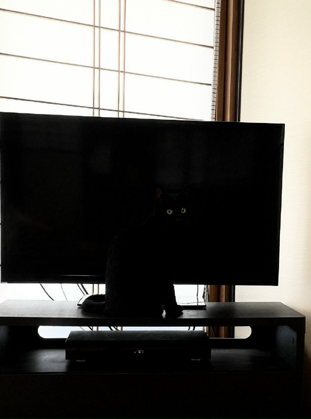 И тут телевизор моргнул)))