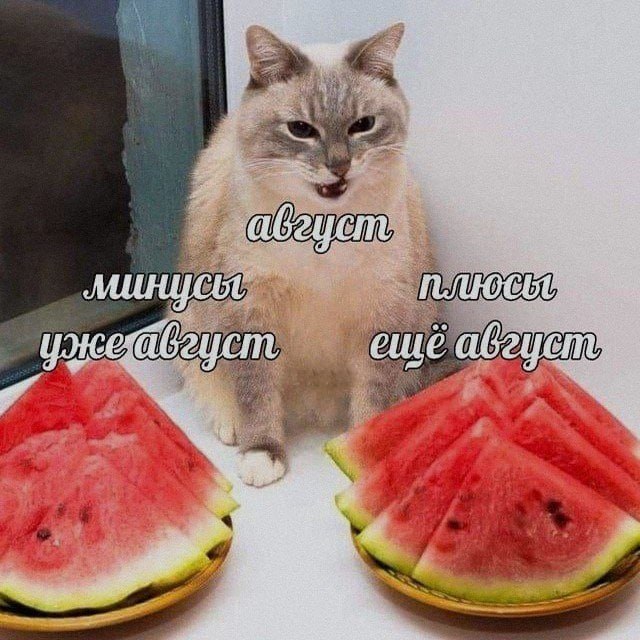 Ночная подборочка
Спать, режим