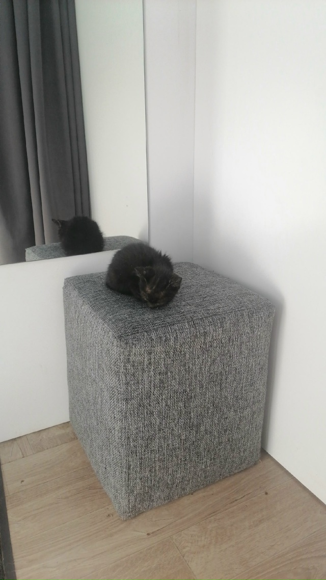 Добрый день, жители прекрасного города Абинска!!! Ночью...