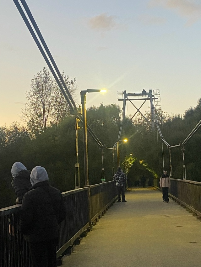 Анон. Залез и сидит , а друзья смотрят ….