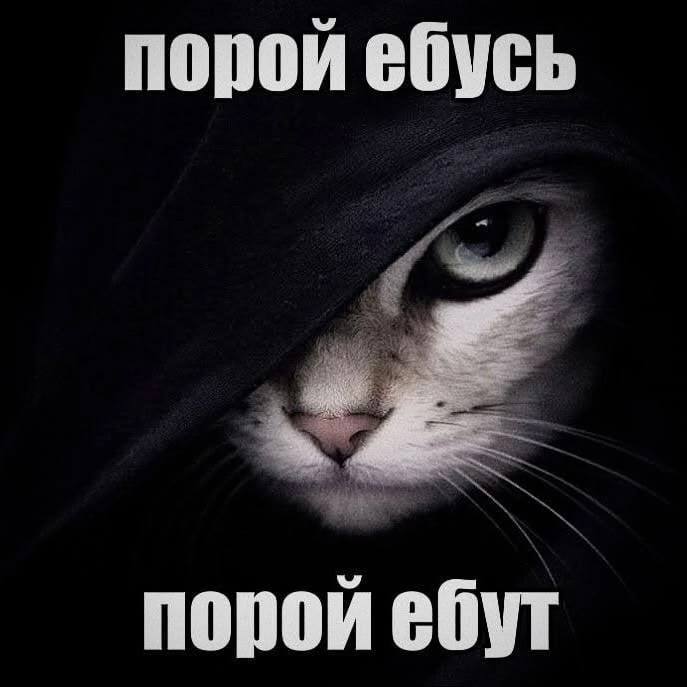 Работа у других: у нас в этом месяце был такой классный тимбилдинг, по итогам квартала мне повысили