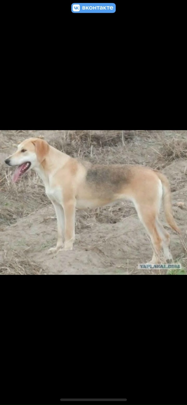 Добрый день!
🆘 🆘 🆘 Владимирская , Ярославская , Моско...