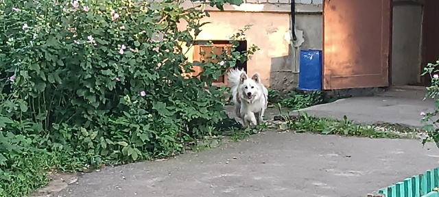 Всем привет, у дома номер 8, на ул. Радищева, около подъе?...