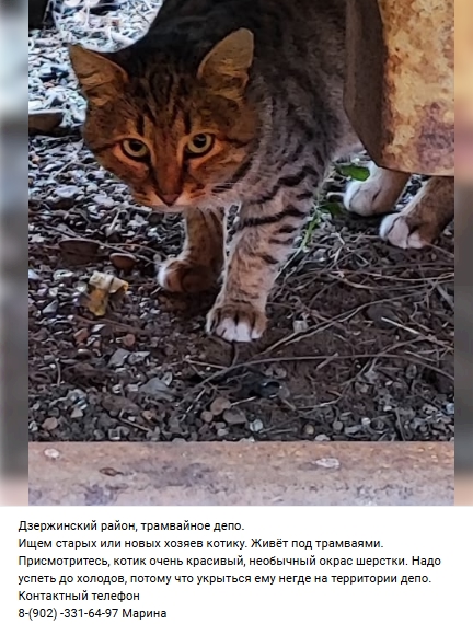 Пост добра. Распространите, пожалуйста.