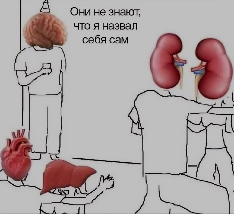 Ночная подборочка
Спать, режим
