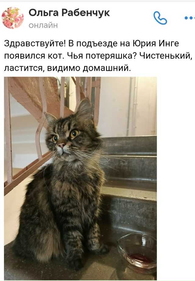 Тел если нужен +79633172632