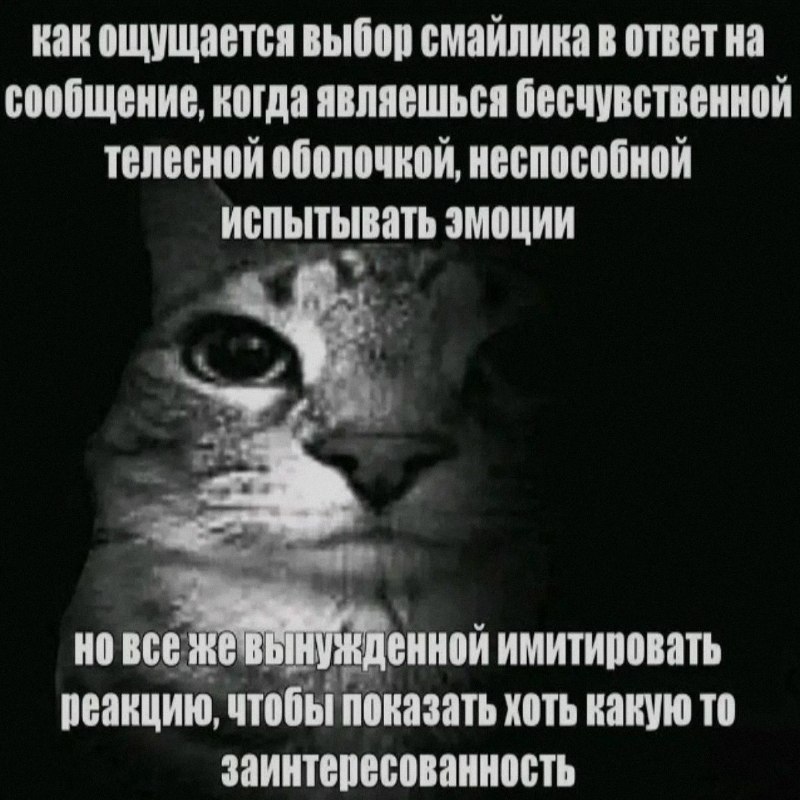 Ночная подборочка
Спать, режим