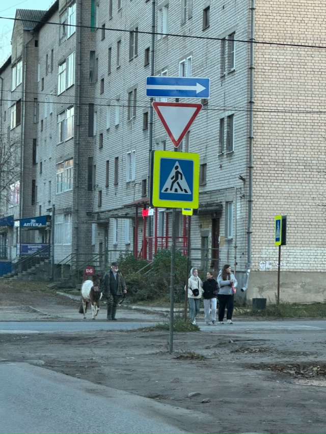 Такое только в Вельске можно увидеть 😊👍
Анон
#Я_тебя_...