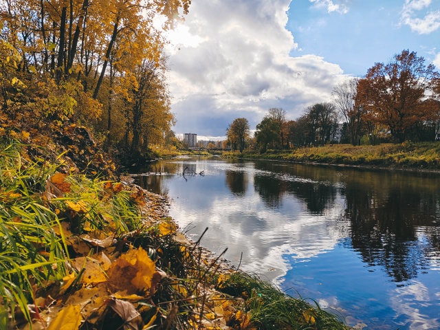 Осенняя Луга🍂