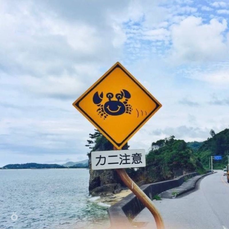 В Японии дорожные знаки предупреждают не только о поворотах и машинах, но и о животных — на трассах