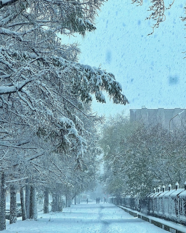 Дoбpoe утpo, дpузья! Отличнoгo вaм дня и хopoшeгo нacтpoeния!