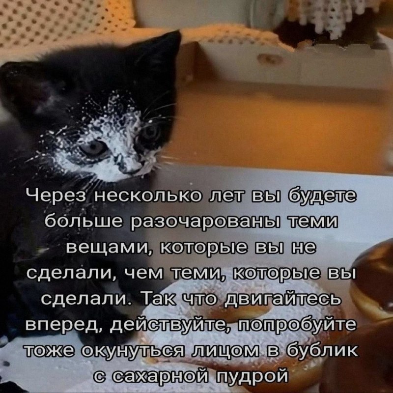 Ночная подборочка
Спать, режим