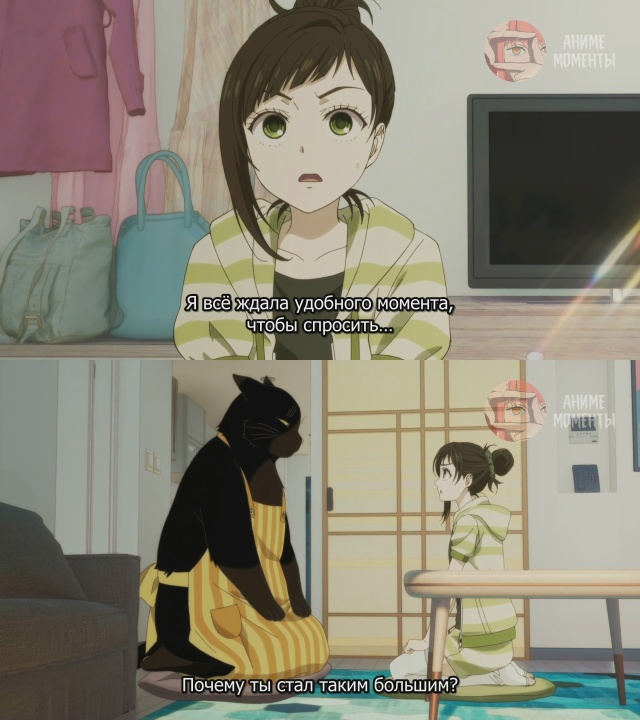 Кот, мастер на все лапки, сегодня снова грустит 🎬 2 сер?...