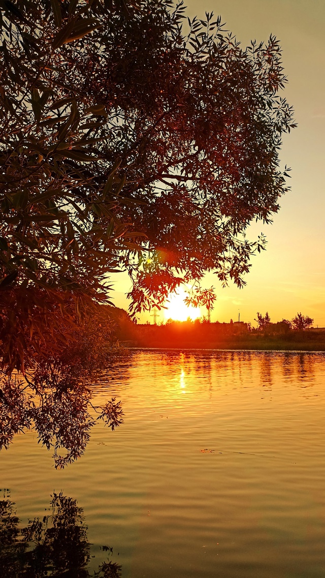 🌞🌞🌞Вечерняя зорька 🌞🌞🌞