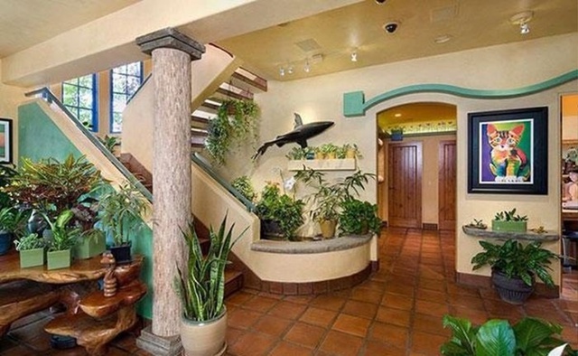 А что сделал ты для своей котейки?