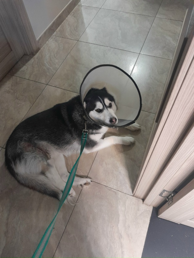 Друзья!
КАТАСТРОФИЧЕСКИ СРОЧНО!
Мы снова к вам с прось...