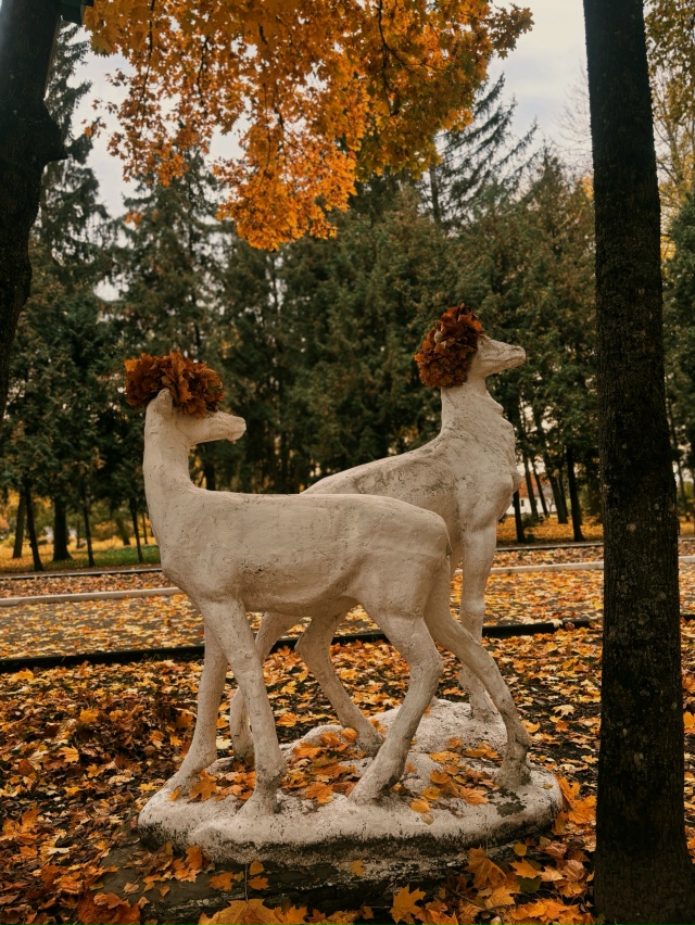 🍁🍁🍁