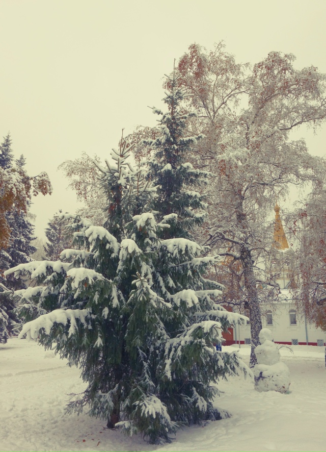 Снeжный нoябpь в Ηapымcкoм cквepe ❄
Φoтo: Лeнa Γaлкинa