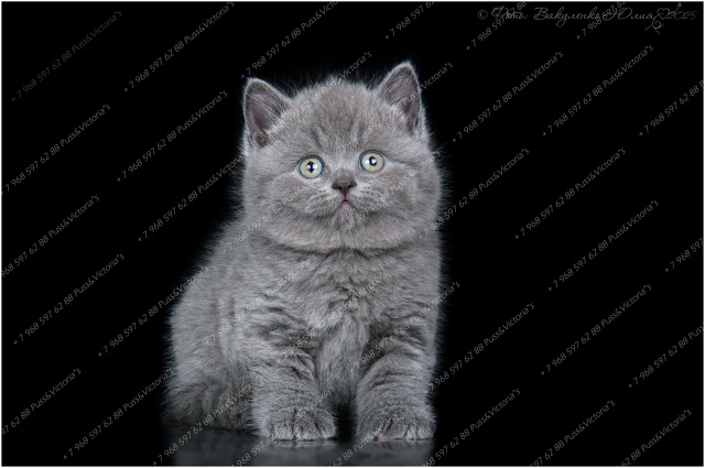 Как вам наши девочки? ?