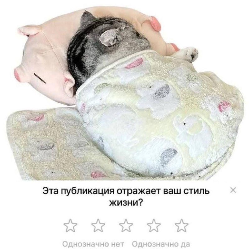 Утренняя подборочка