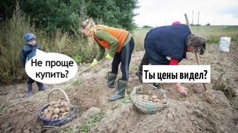 🤔 Картофель в России подорожал из-за отказа россиян от огородов, — исполнительный директор Союза уча