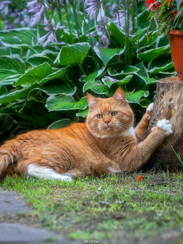 Это Филипп Александрович — человек, который по-настоя?...