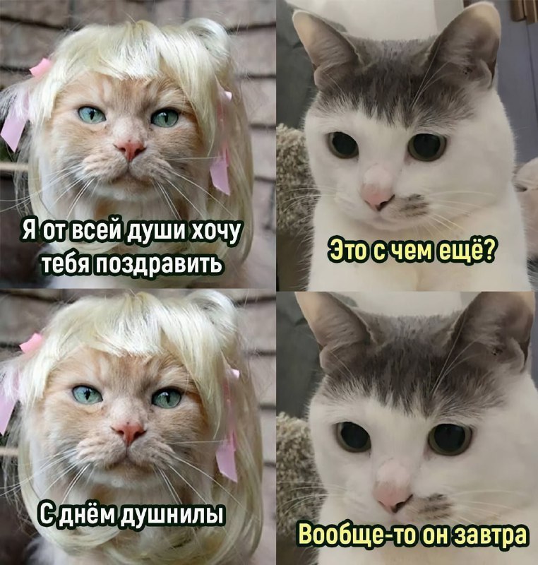 Девочки, сегодня отмечается День душнилы.
Вы знаете, кого точно нужно поздравить 🤓