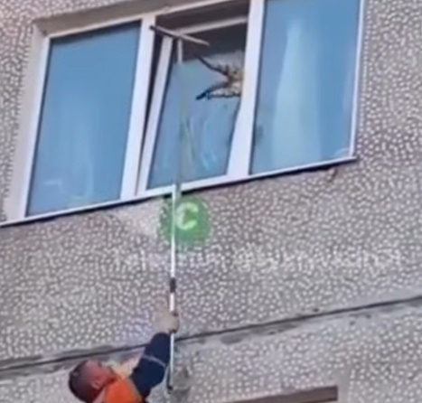 Вовремя вылез и спас котяру..
