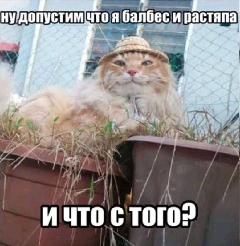 Утренняя подборочка