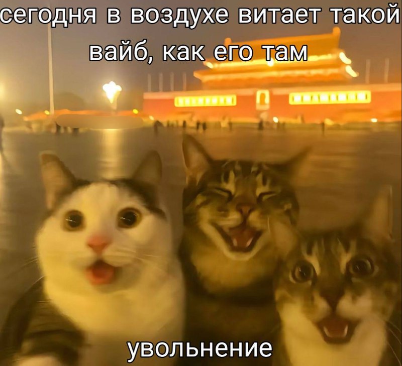 доброе утро
