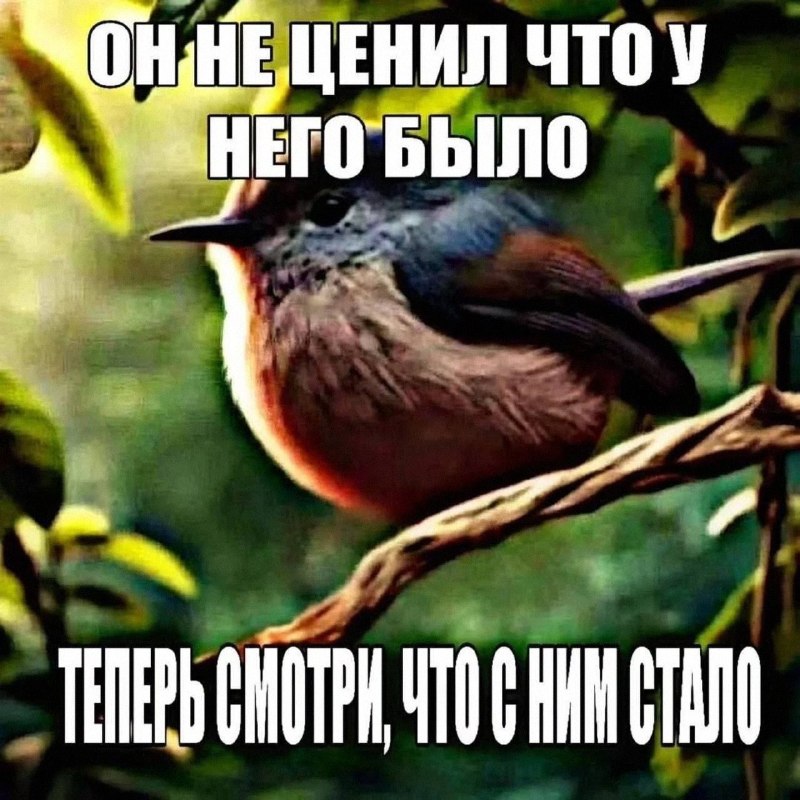 Утренняя подборочка