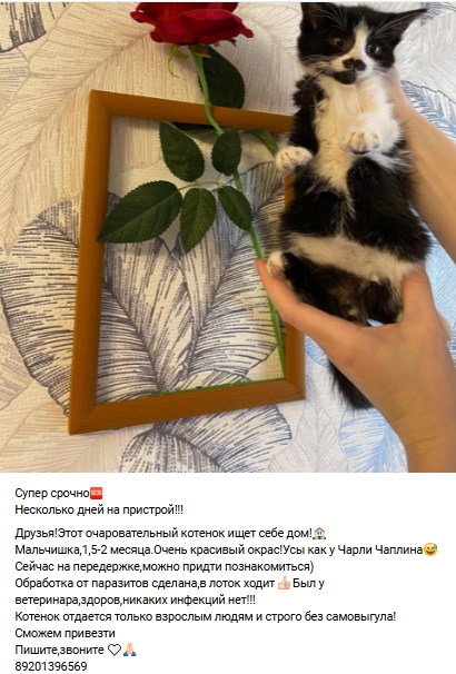 Пост добра. Распространите, пожалуйста.