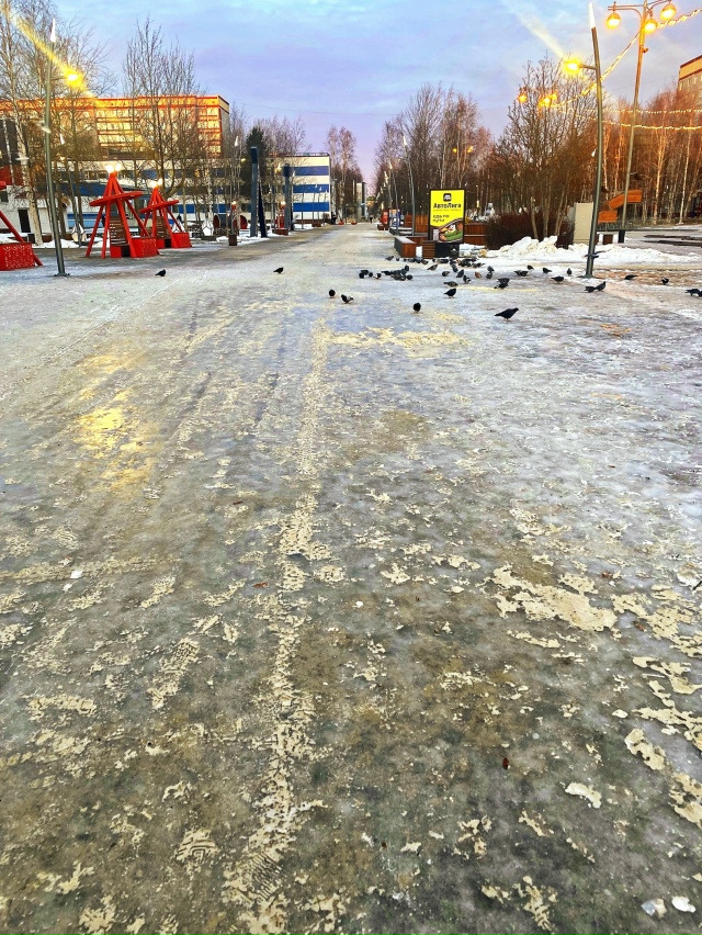 По городу теперь можно передвигаться на коньках 🎿