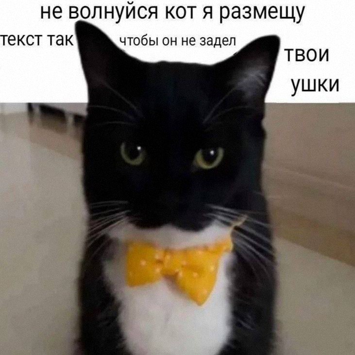 Утренняя подборочка