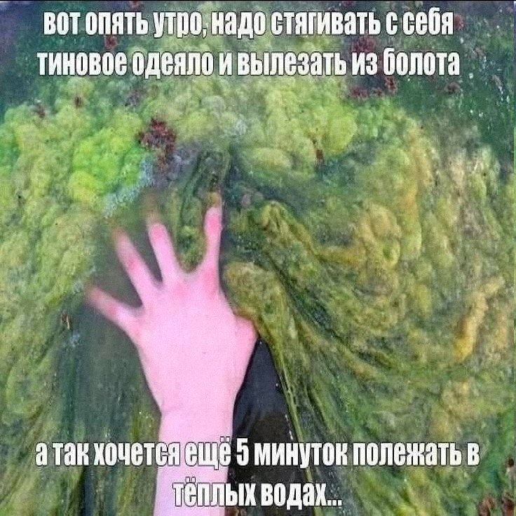 Утренняя подборочка
