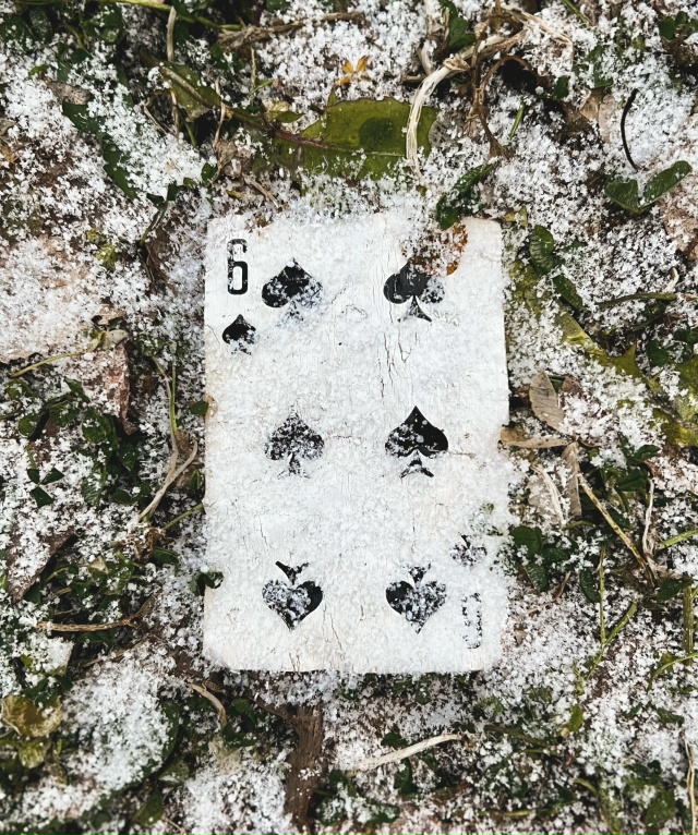 Ещё одна попытка зимы обосноваться в наших краях.
Фото...