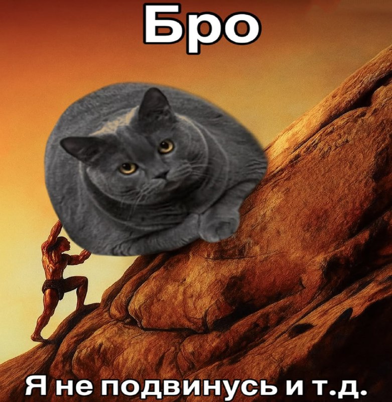 Утренняя подборочка