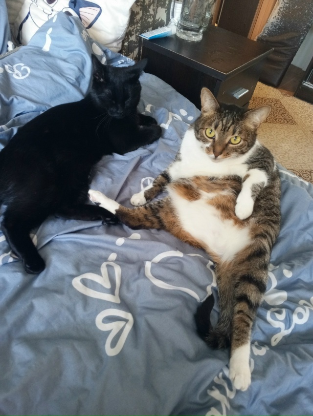 Нюса и Шура(2ое фото) в позе Ждун 🤭🥰❤