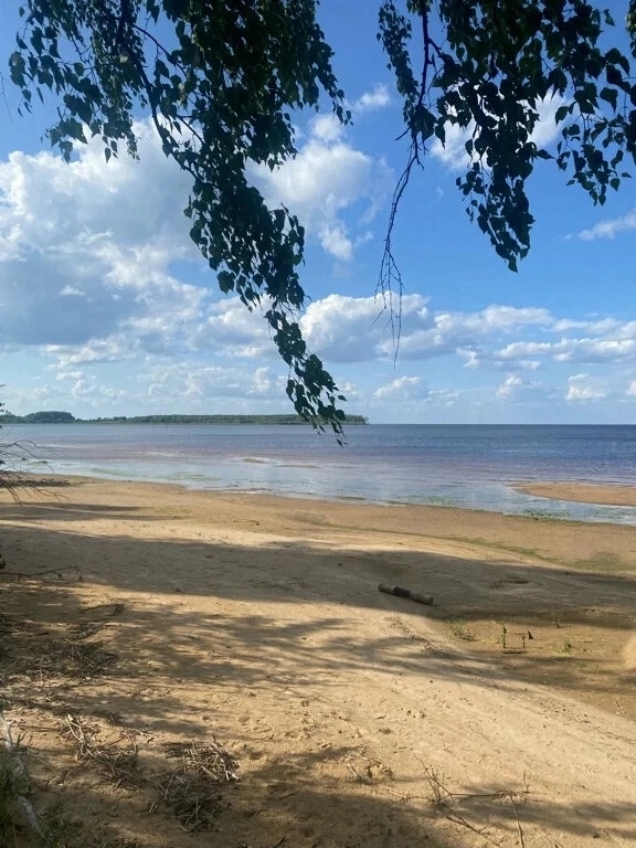 Шикарный пляж на Рыбинском водохранилище.
Ярославска?...