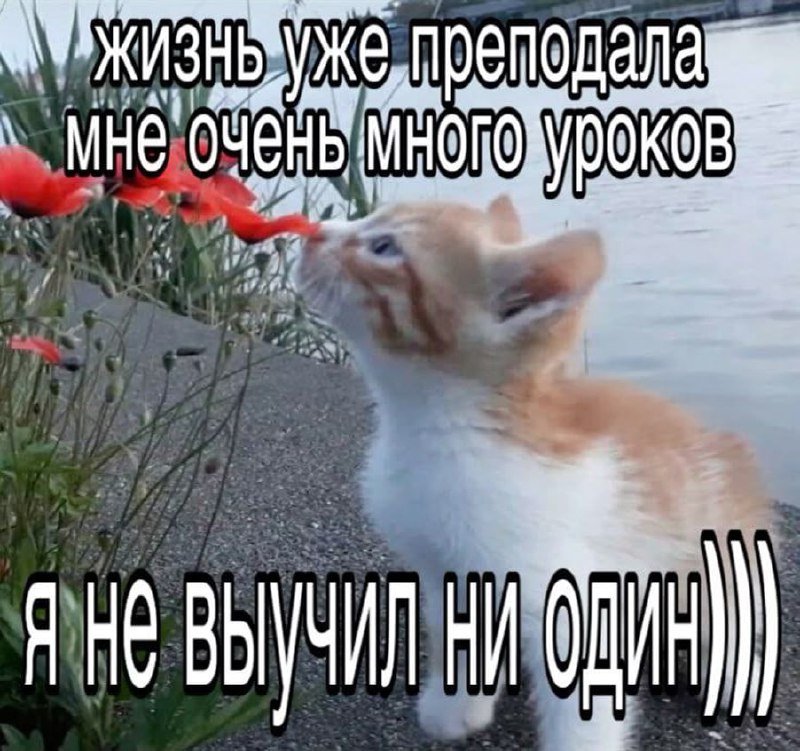 Утренняя подборочка