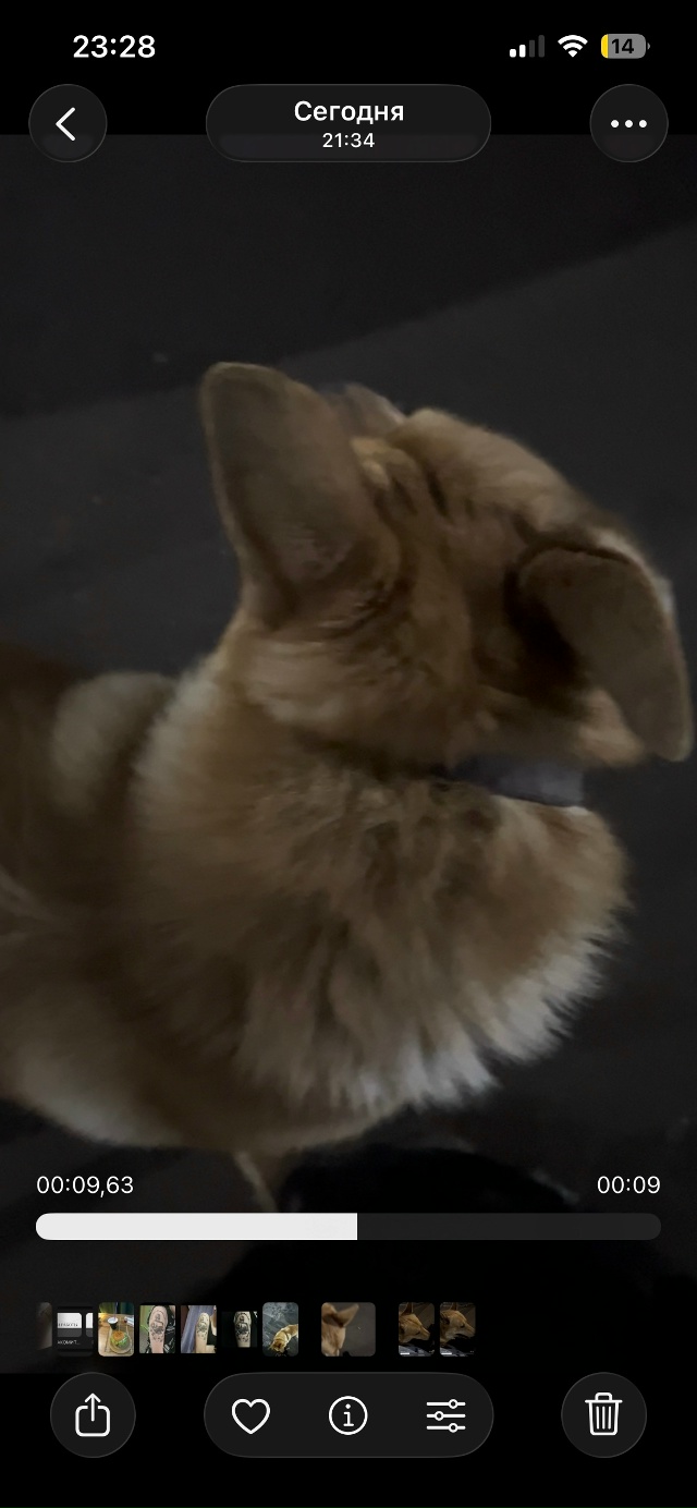 Ищу хозяина этой собаки, буквально час назад на меня и ?...