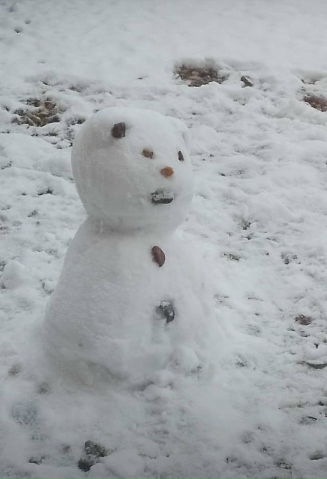 Первые снеговики в Балашихе, это надо отметить!) 🥂 ☃